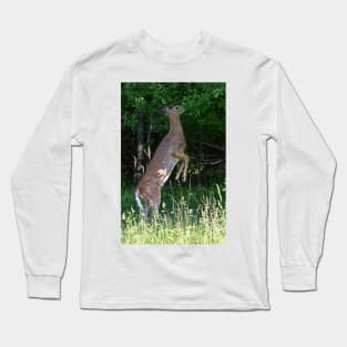 Foraging for food - White-tailed deer Long Sleeve T-Shirt